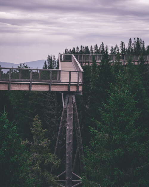 Treetop walk Zdiar