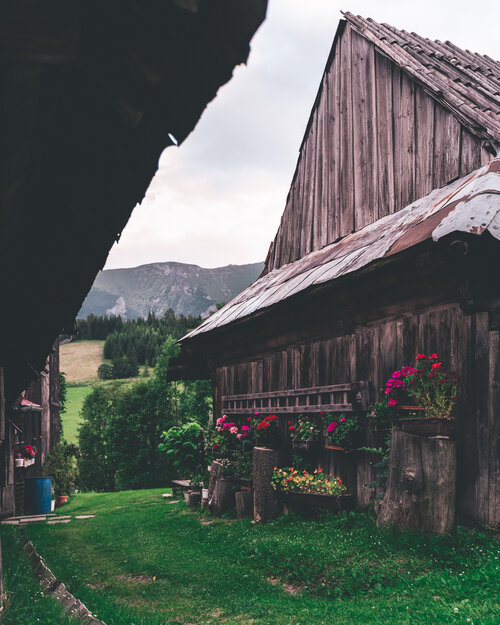 Traditional farm in Zdiar