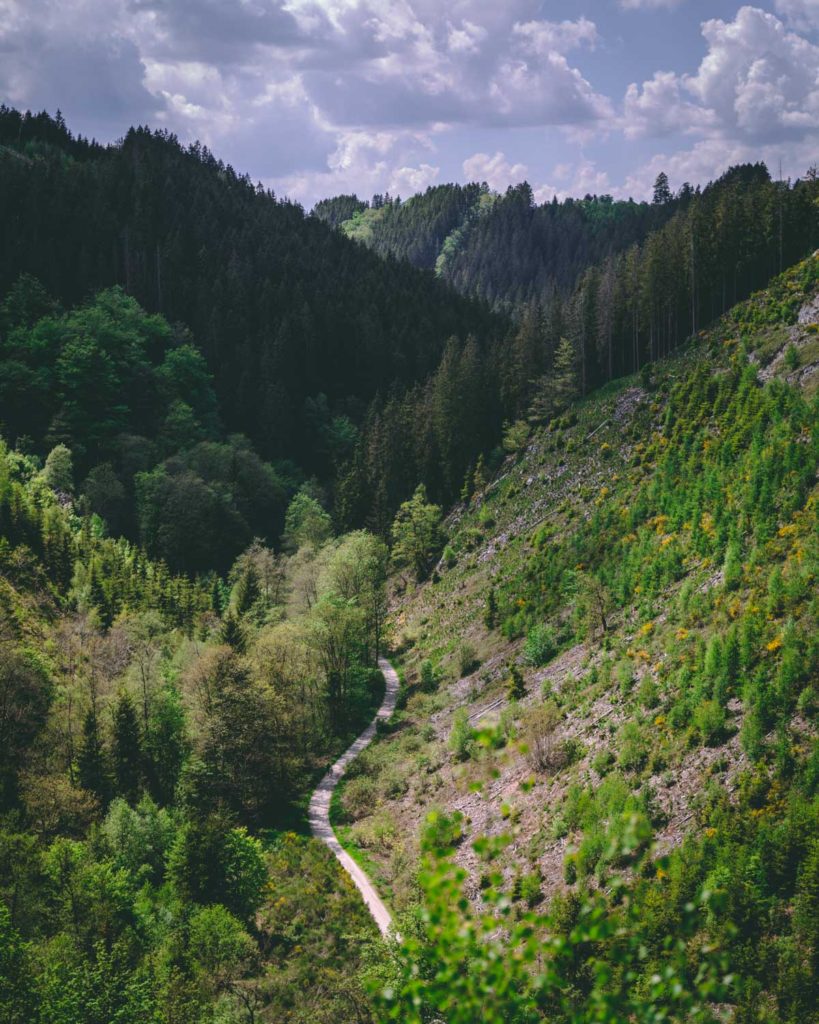 View of the valley of Warche river-river