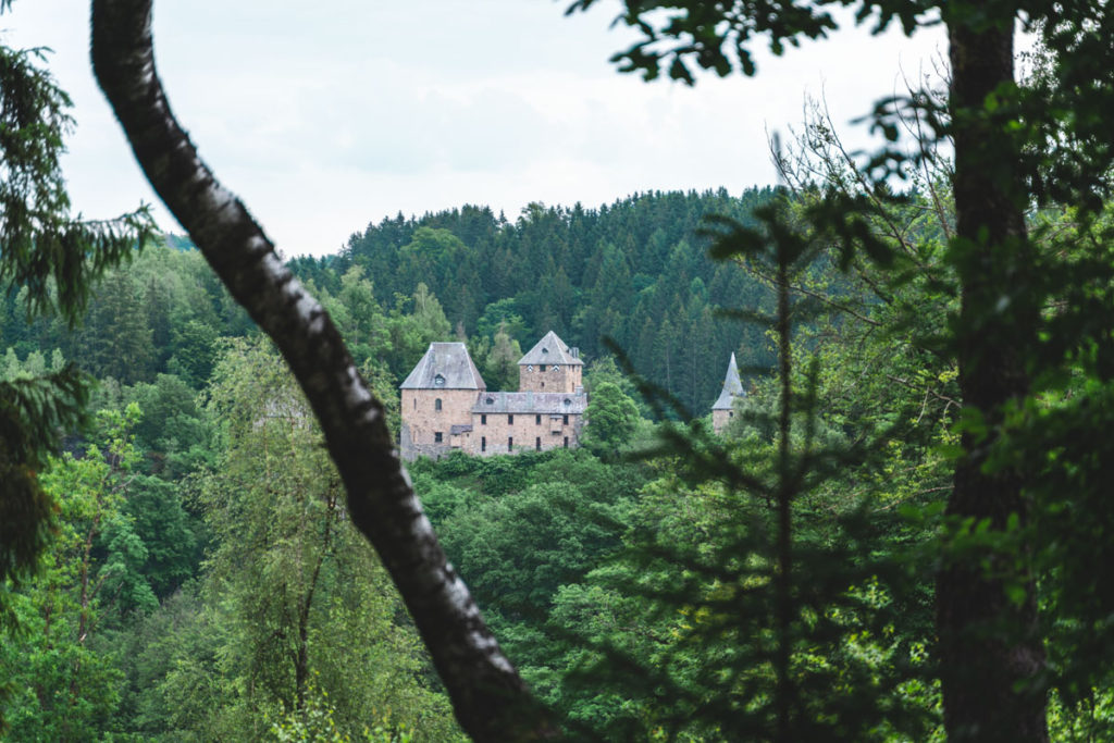 View from the Reinhardstein Castle