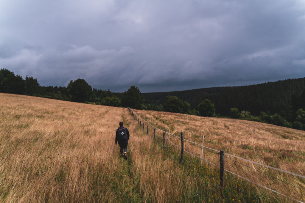 Walking through the meadows on the way to Rocher du Bieley in Butgenbach