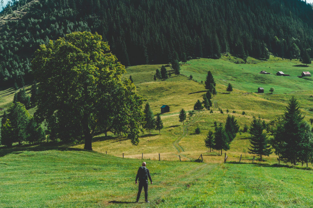 View over the lush green meadows in Sadova