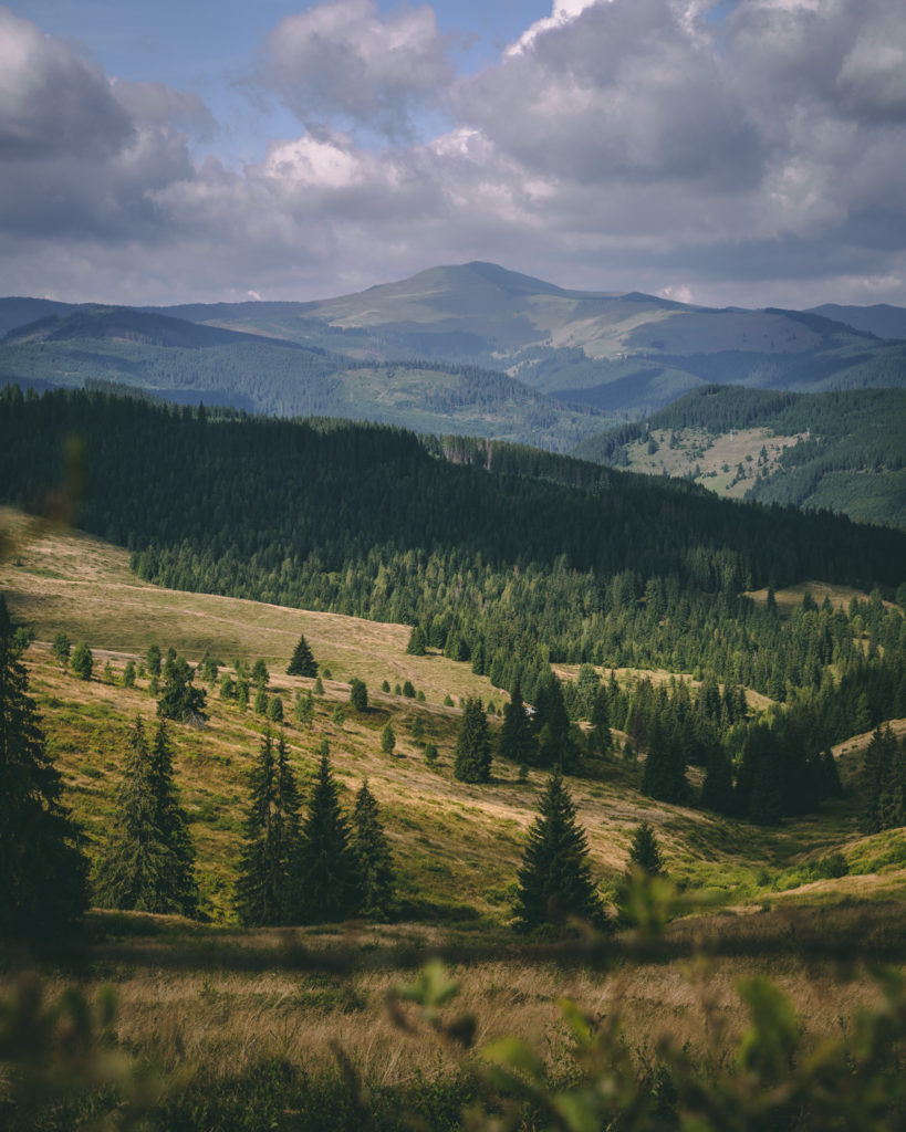 Via Transilvanica landscape while hiking