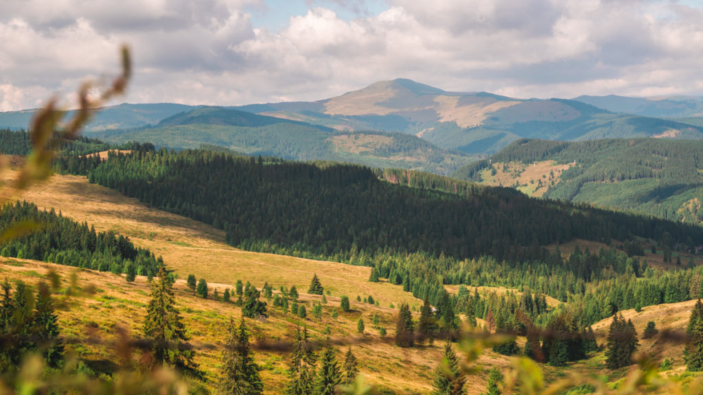 Landscape while hiking on the Via Transilvanice in Bucovina