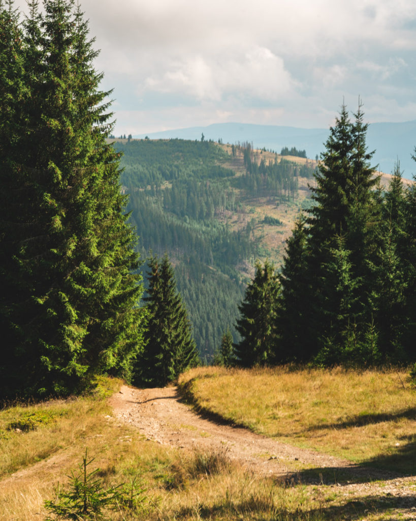 Hiking trail on the Via Transilvanica in Bucovina