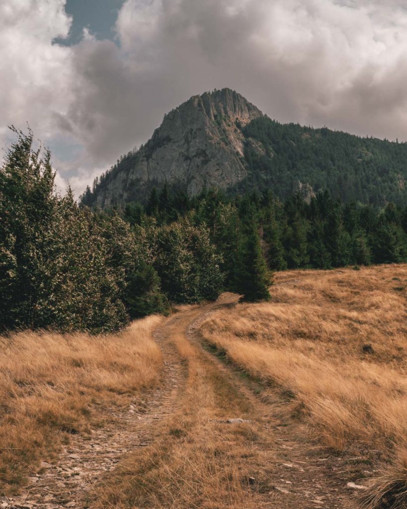 Hiking trail to Creasta Cocosolui